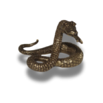 2025 metų simbolis „Ugninė Gyvatė“