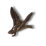 Žalvario ženkliukas: Pelkių Šeimininkė Didžioji Antis