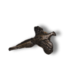 Žalvario ženkliukas: Gražusis Fazanas